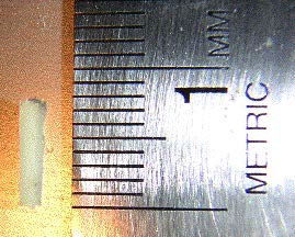 Figure 2. Cortical bone specimen with scale for size reference.