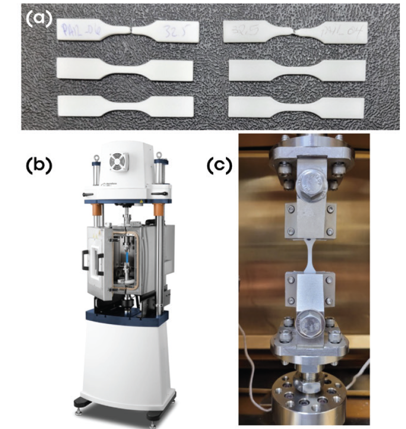 Figure 1. (a) PA12 (left) and PA11 (right) Type V dog bone samples intact and after failure, (b) ElectroForce 3300 instrument with a tensile configuration and temperature control system attached, and (c) representative Type V dog bone clamped in tension for monotonic and fatigue testing.