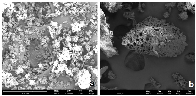 Figure 1: SEM images of a) finer and b) coarse ground of medium roast coffee powder Figure 1: SEM images of a) finer and b) coarse ground of medium roast coffee powder