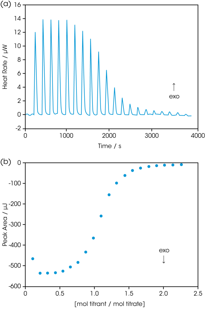 Figure 2: RNase A titrated with 2’-CMP in a TA Instruments ITC. RNase A was dialyzed (2 × 72 h, 4 °C) against 15 mM potassium acetate buffer, pH 5.5, then the concentration of the protein was adjusted to 80 μM. Ligand (1.58 mM 2’-CMP) was prepared using the final dialysis buffer. RNase A was loaded into the 7.0 mL sample cell and 2’-CMP was loaded into the 100 μL syringe. Twenty, 5 μL aliquots of ligand were titrated into the protein while the temperature of the system was maintained at 25°C. Figure 2a: The signal (heat) produced following each addition of inhibitor. Figure 2b: Integration of the heats over the time course of the experiment; the μJ in each peak are plotted against the mole ratio of titrant (inhibitor) to titrate (protein). ‘Exo’ depicts the sign convention for an exothermic reaction. Ka of 2’-CMP binding: 1 × 106 M-1. Enthalpy of binding: -65 KJ mol-1.