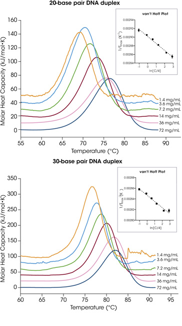 Figure 2. Overlay of varying dilutions of A) 20-base pair duplex and B) 30-base pair duplex in Gibco DPBS, pH 7.4. The van’t Hoff plot is shown in the inset for each data set. Figure 2. Overlay of varying dilutions of A) 20-base pair duplex and B) 30-base pair duplex in Gibco DPBS, pH 7.4. The van’t Hoff plot is shown in the inset for each data set.