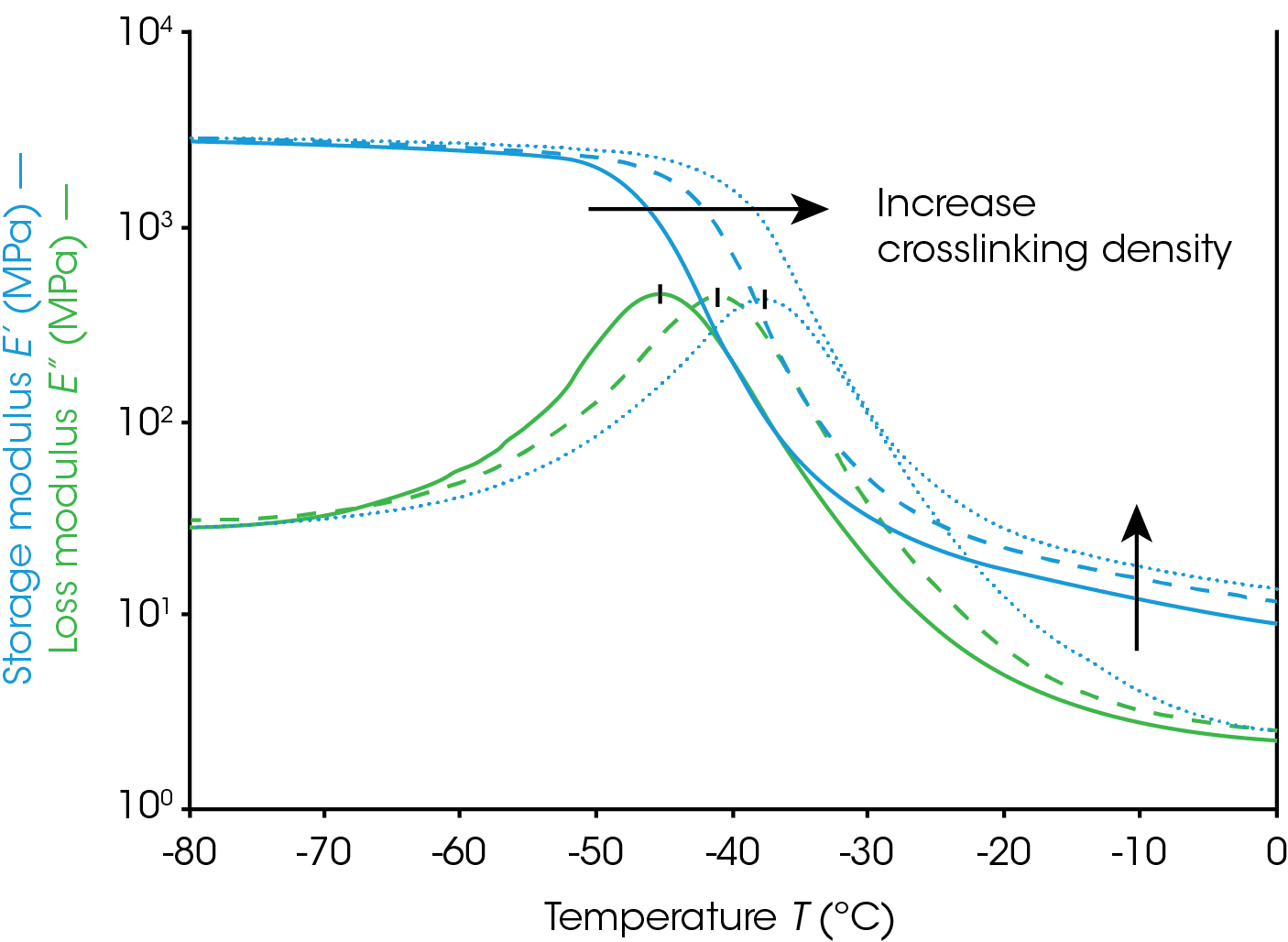 Figure 4. DMA temperature ramp tests on crosslinked elastomers with different crosslinking density