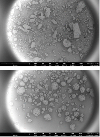 Figure 5. SEM images of milled lactose (top) and spray-dried lactose (bottom)