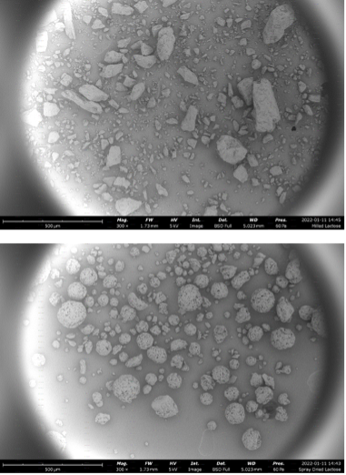 RH123_Fig.5 Figure 5. SEM images of milled lactose (top) and spray-dried lactose (bottom)