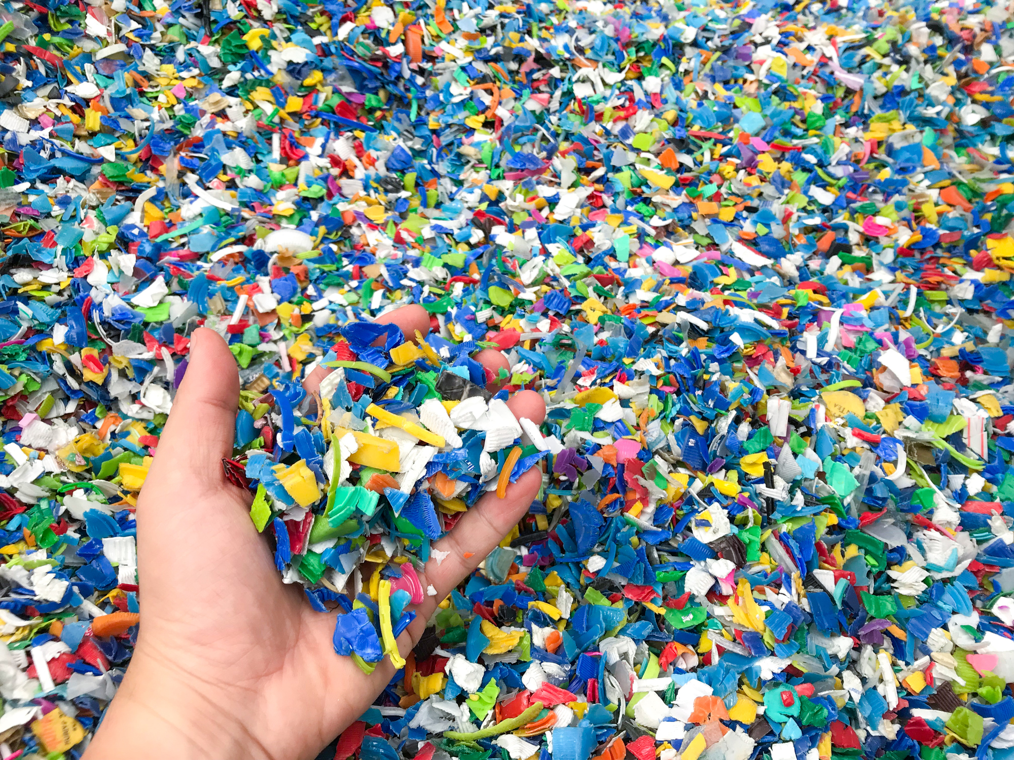 Hand holding Bottle flake,PET bottle flake,Plastic bottle crushed,Small pieces of cut colorful plastic bottles