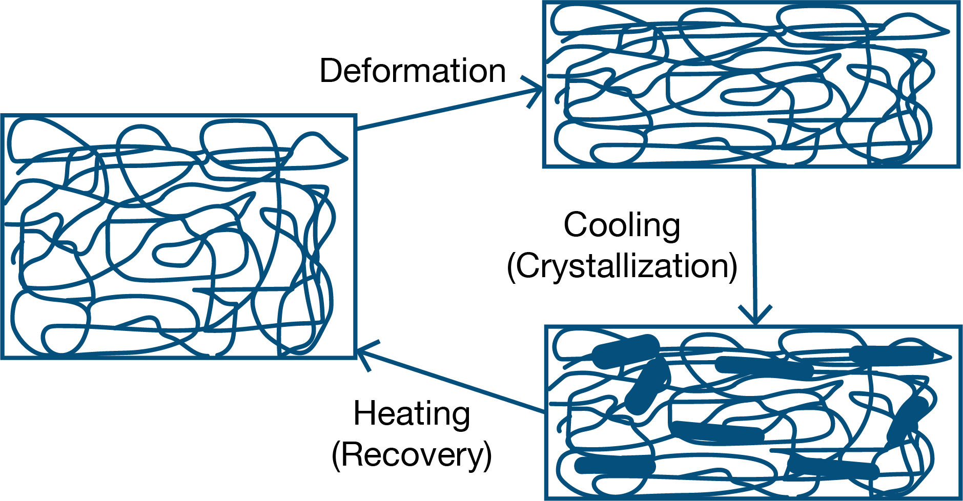 Figure 1. Schematic of thermo-mechanical response of shape-memory polymers during cyclic heating and cooling.