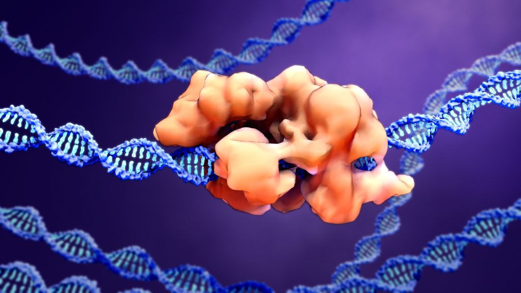 CRISPR-Cas9 proteins recognize and cut foreign pathogenic DNA