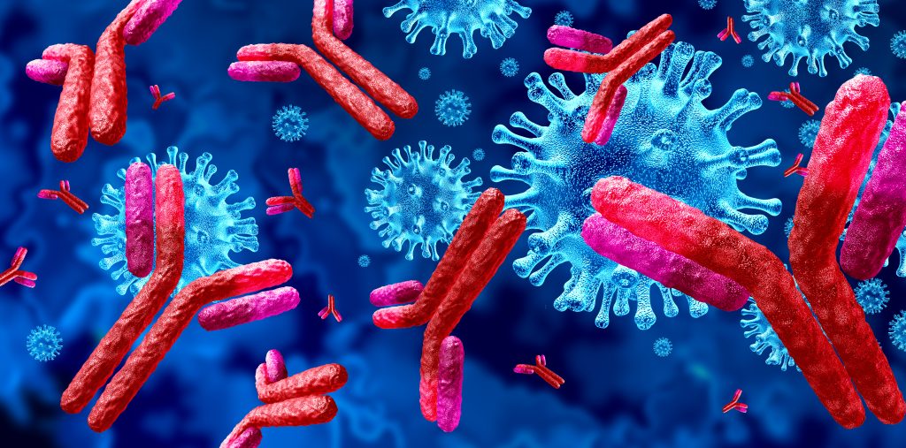 Antibody Immunoglobulin
