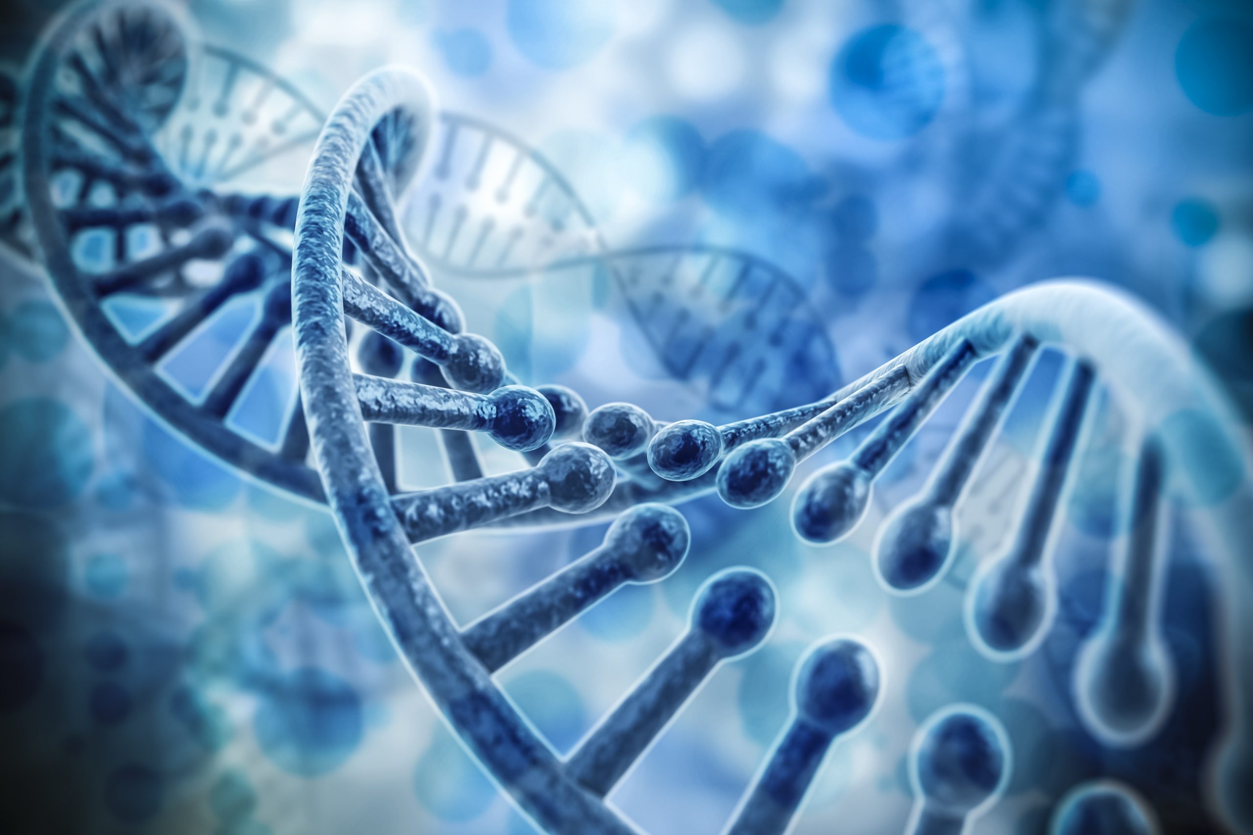 3d DNA