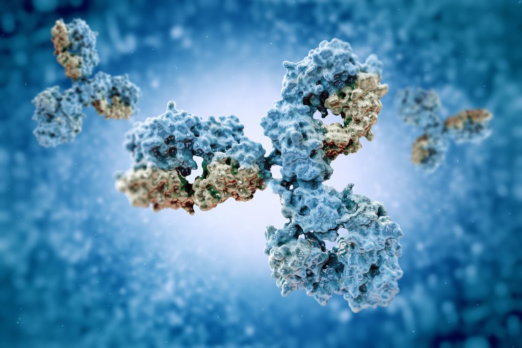 antibodies